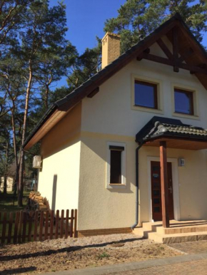 Villa Złote Wydmy in Miedzywodzie
